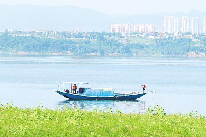 时政微观察丨为了“一泓清水永续北上”