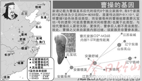 曹操家族dna完全确定