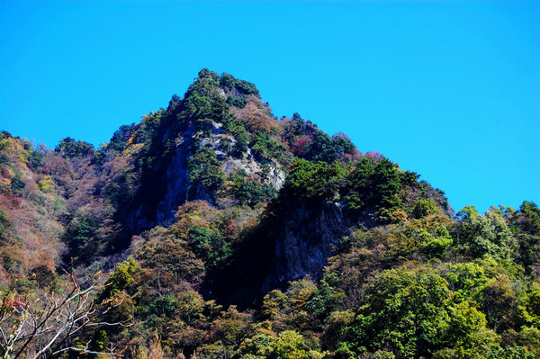 竹山历史大案“沧浪山暴动”