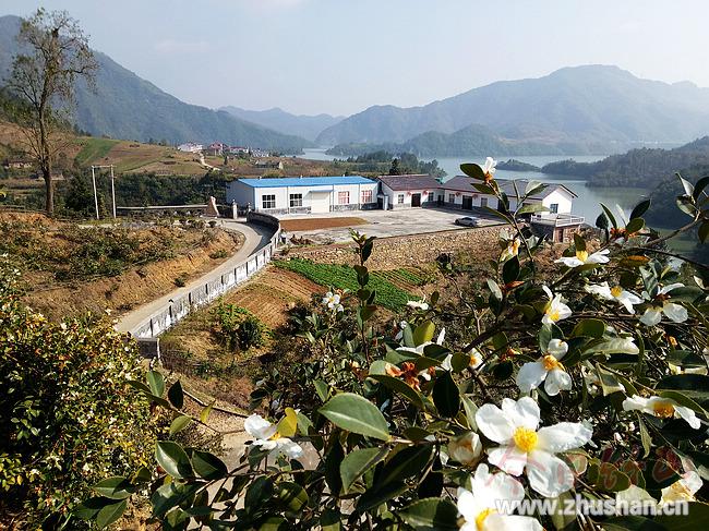 荣华油茶专业合作社