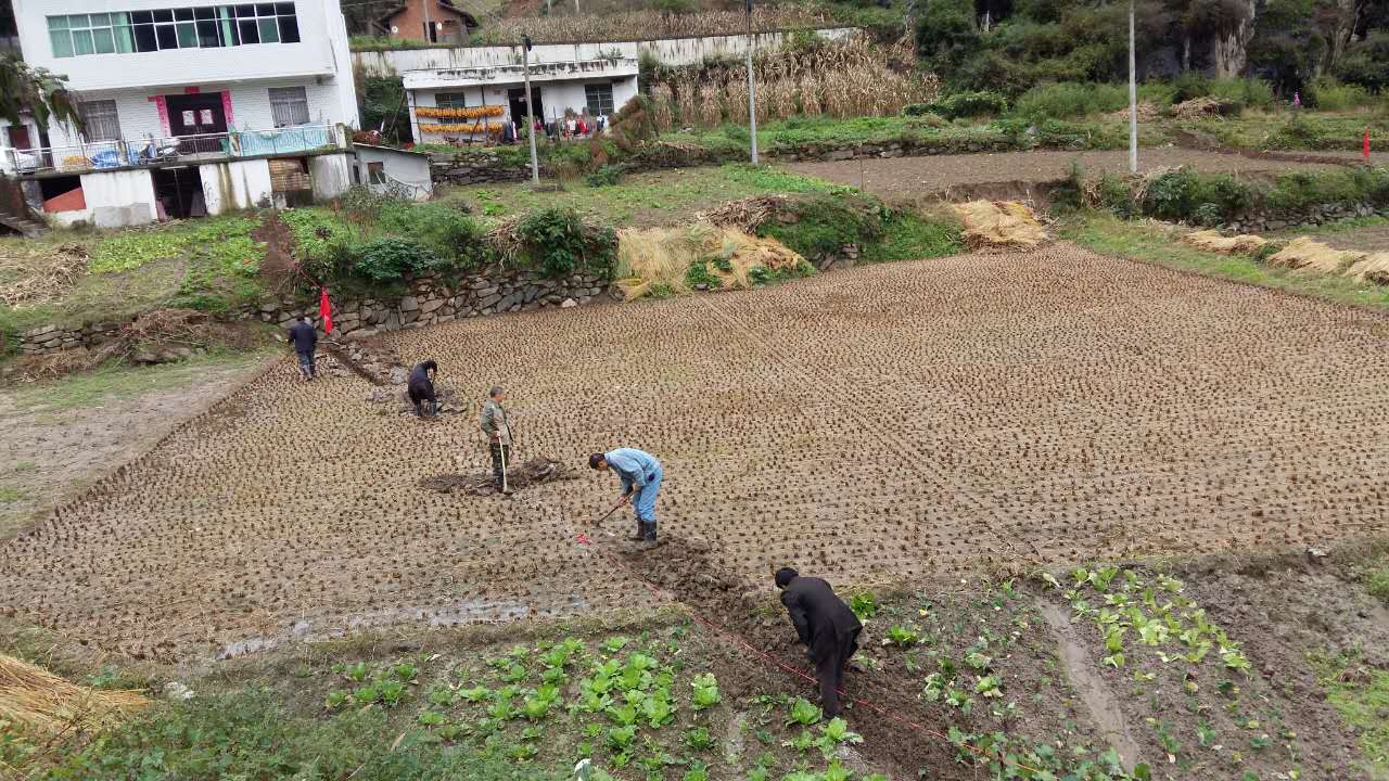 十巫高速公路竹山段挖沟放线工作顺利推进