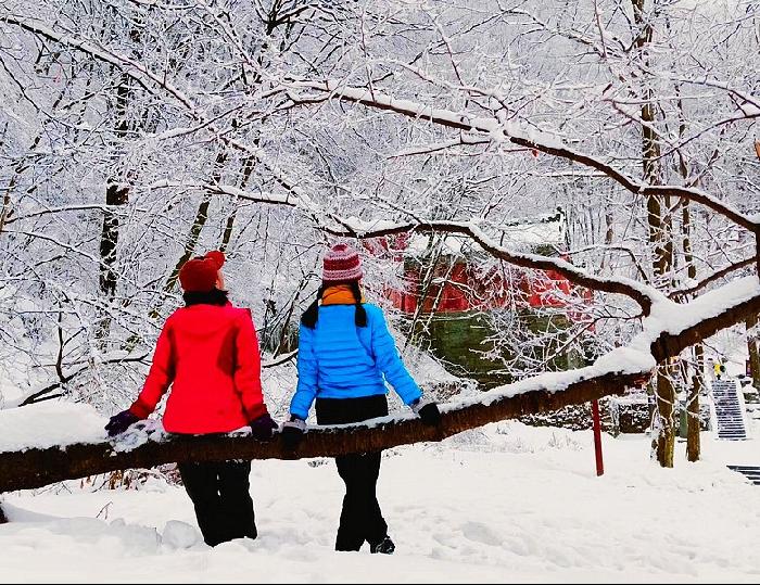 武当山冬雪