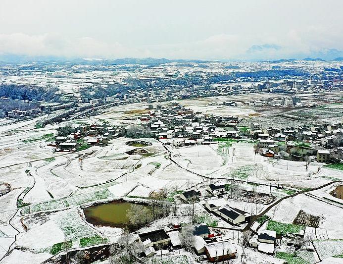 罗家坡村雪景惹人醉