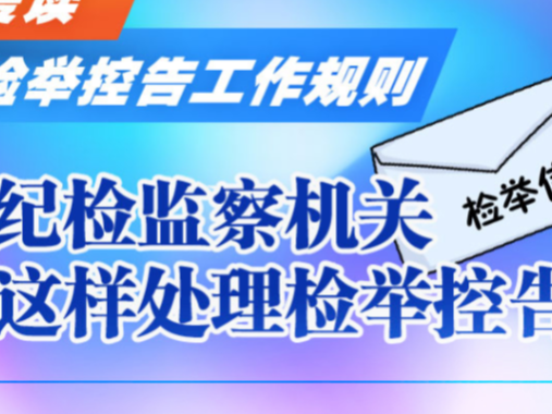 纪检监察机关处理检举控告工作规则（第九章）