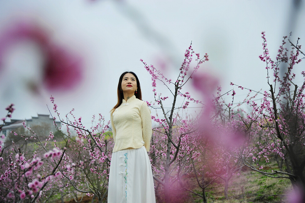 竹山：桃花争艳   游人踏青流连