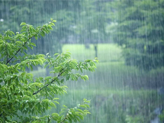 诗 中 读 雨