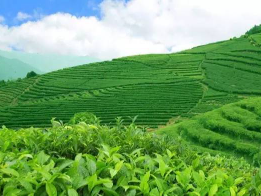  深秋的山村