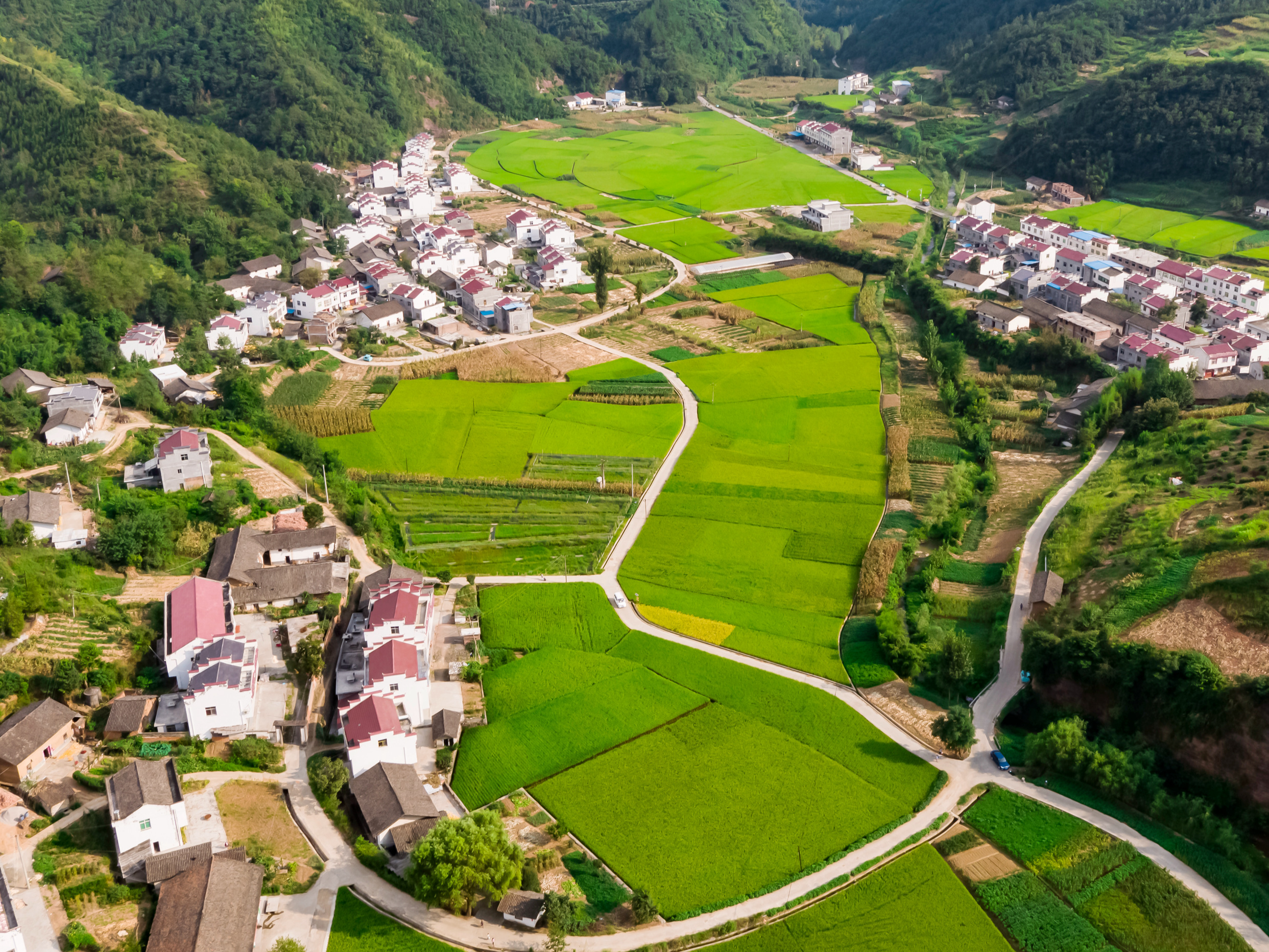 浅论智慧乡村建设在乡村振兴中的重要作用