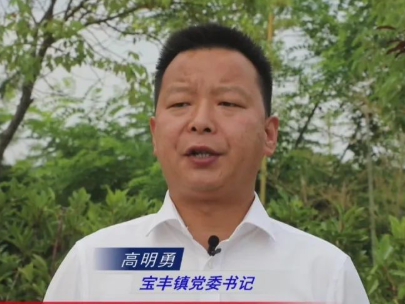 宝丰镇融合发力，让“廉”花盛放~