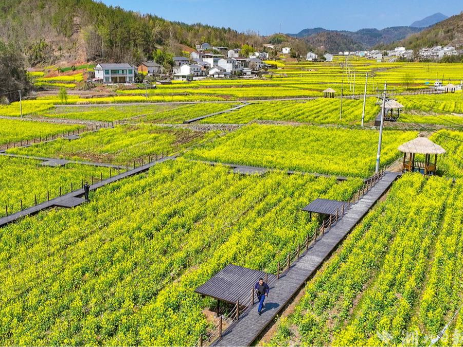 竹山：春分时刻花正盛