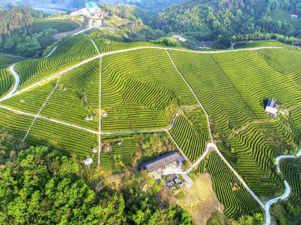 城关镇刘家山村成功入围“2023年中国美丽休闲乡村”