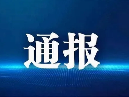 中共溢水镇委员会关于十五届竹山县委第三轮巡察反馈意见整改情况的通报