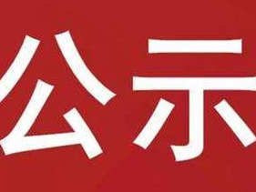 县医疗保障局2023年群众身边腐败和作风问题专项整治阶段性成果公示