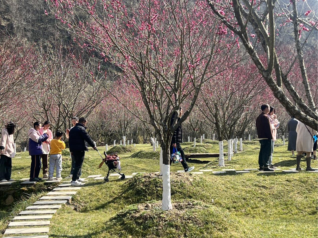 竹山县春节假期文旅成绩单“出炉”