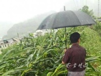 竹山部分乡镇遭大雨冰雹袭击  农户受灾