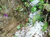 竹山部分乡镇遭大雨冰雹袭击  农户受灾